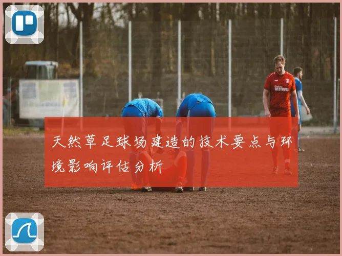 天然草足球场建造的技术要点与环境影响评估分析