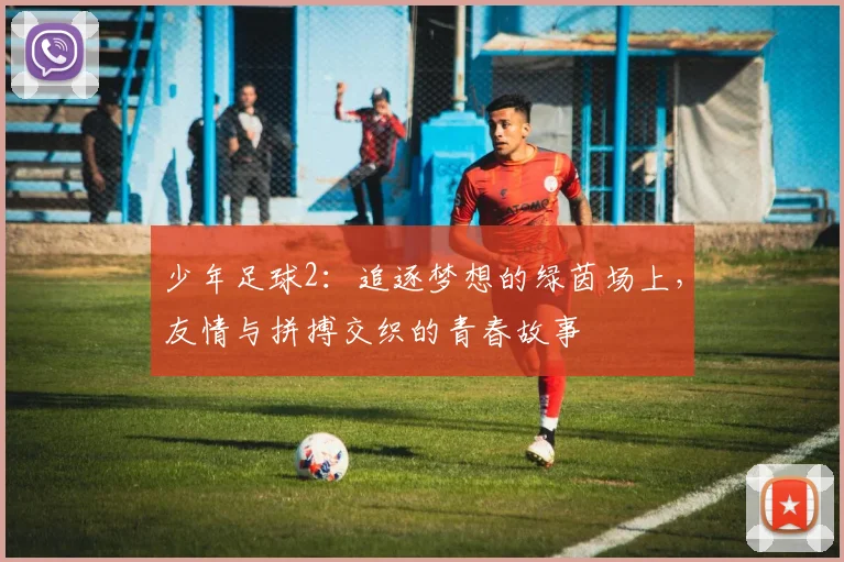 少年足球2：追逐梦想的绿茵场上，友情与拼搏交织的青春故事
