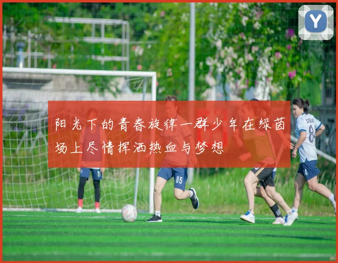 阳光下的青春旋律一群少年在绿茵场上尽情挥洒热血与梦想