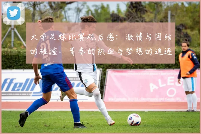 大学足球比赛观后感：激情与团结的碰撞，青春的热血与梦想的追逐